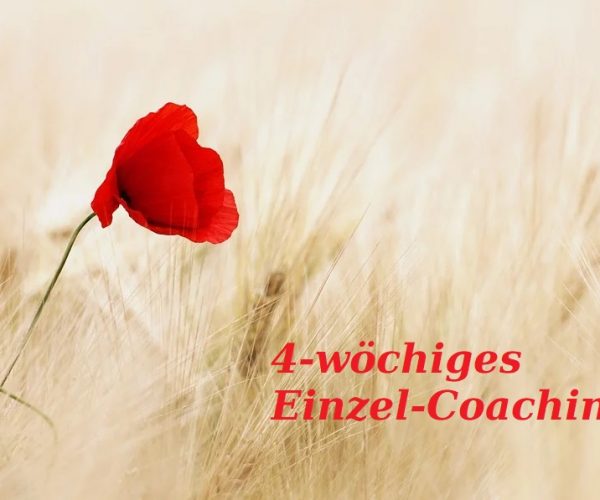 Motivations-Coaching als Einzel-Coaching