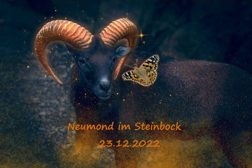 Neumond im Steinbock